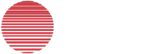Wild Tokyo